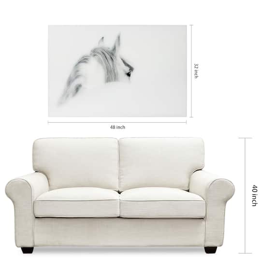Empire Art Direct Vetro De Arte 48" x 32" Blanco Mare Horse Frameless Free Floating Printed Tempered Glass Wall Art